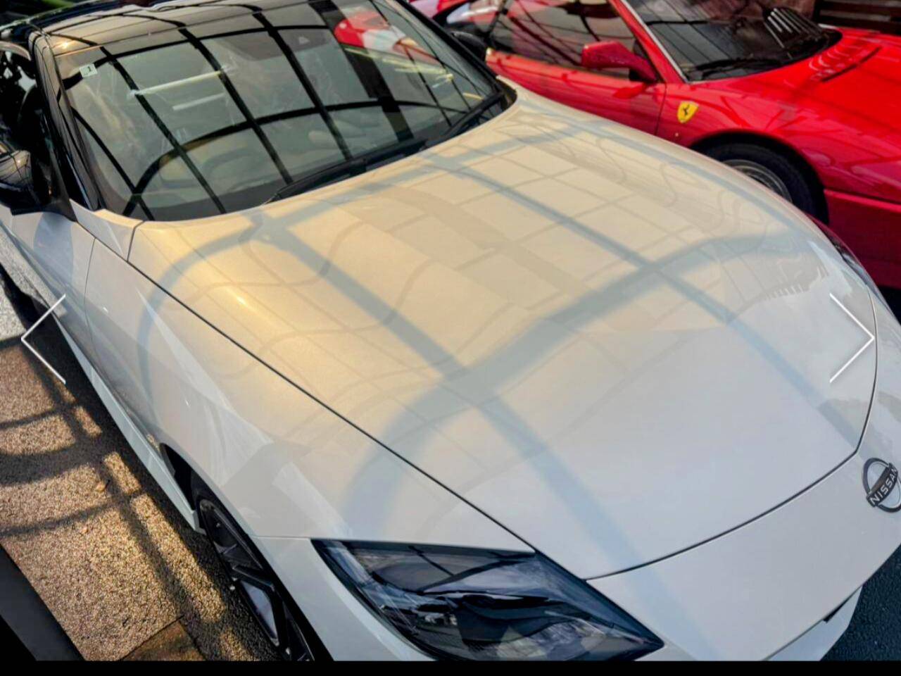 1000003267.jpg