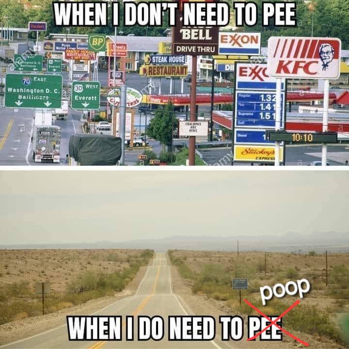 1000005037.jpg