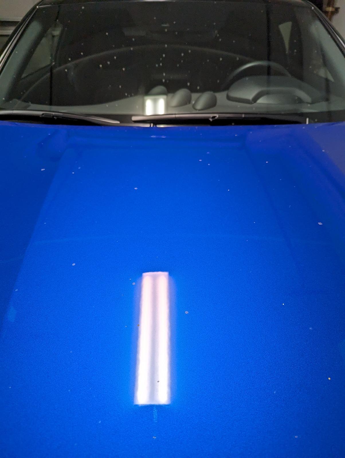 1000019113.jpg