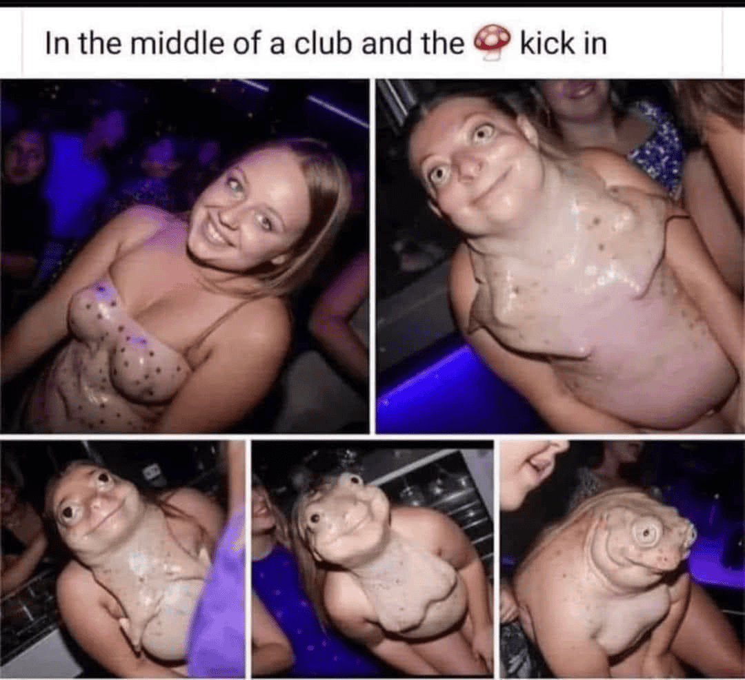1712115962621-pt.png