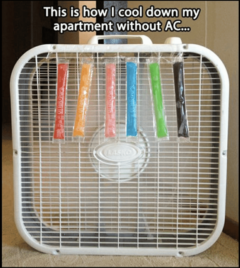 30B5E972-CA6E-4E03-B5B7-35F300C10C14.png