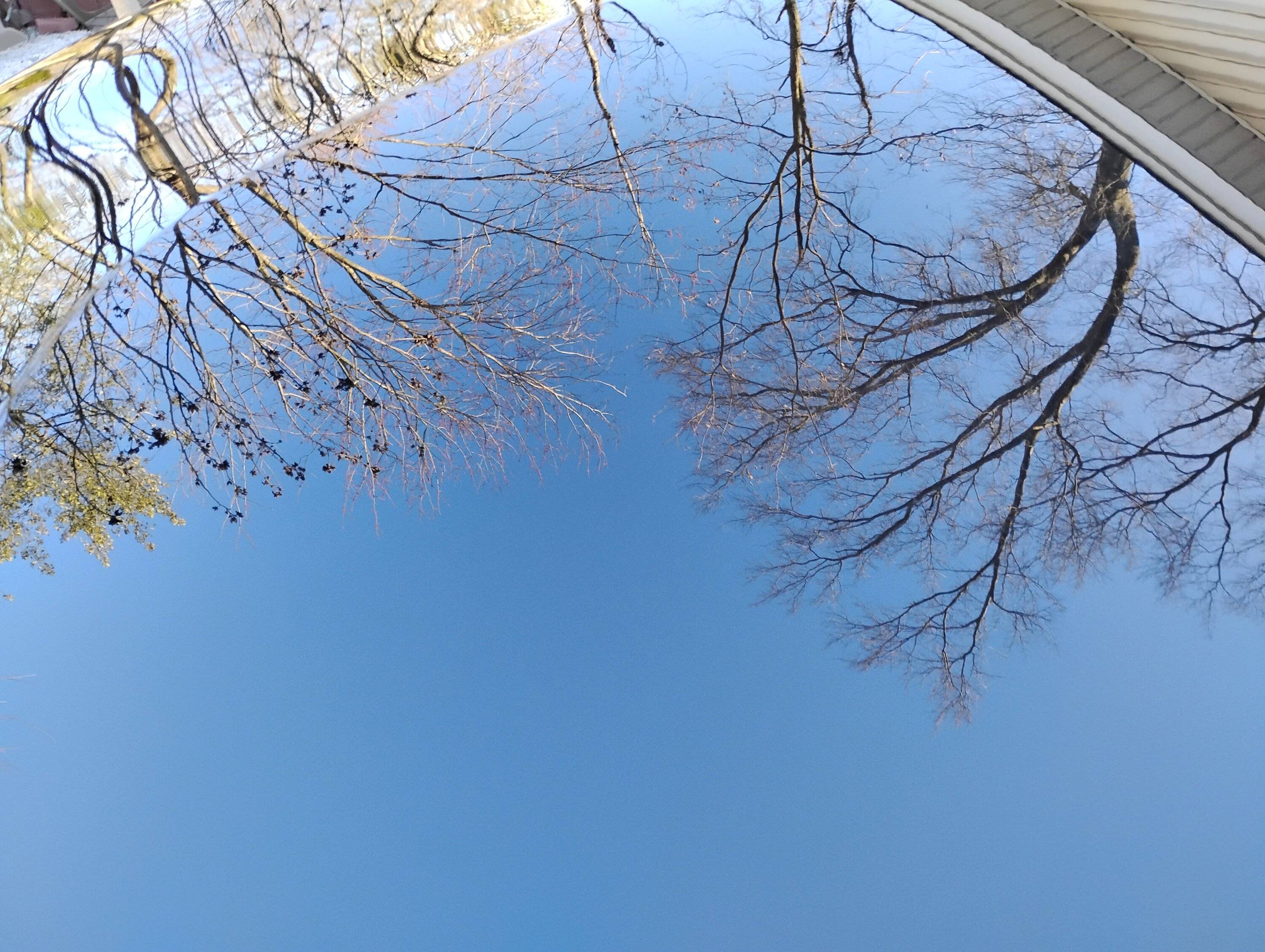 IMG_20250309_172248770.jpg