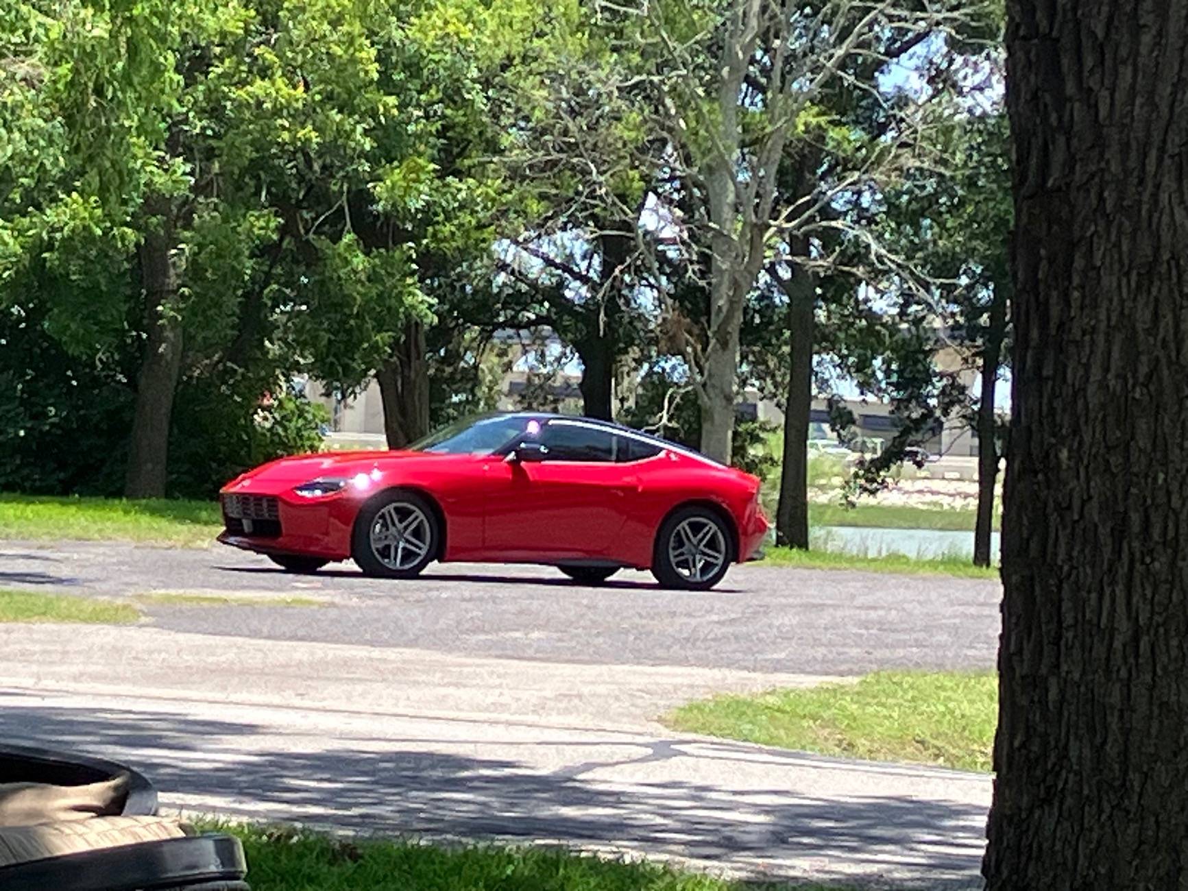 IMG_4010.jpeg