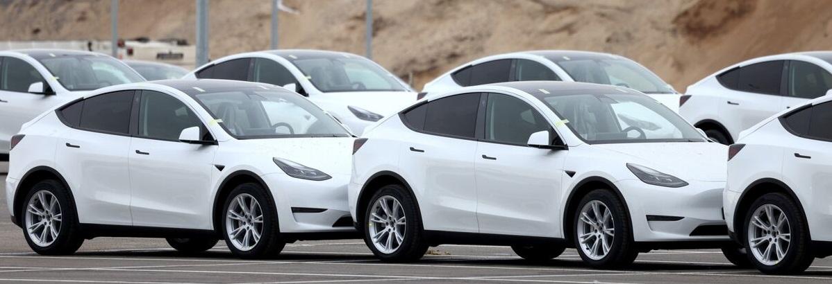 white_teslas.jpg