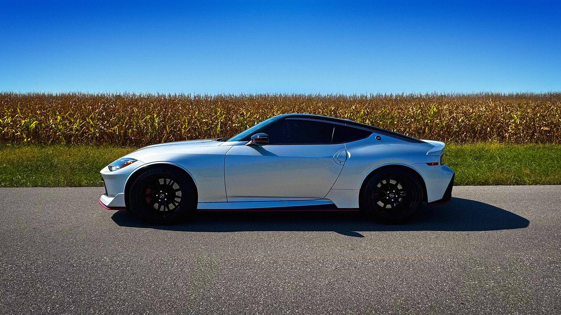 Z-cornfield.jpg