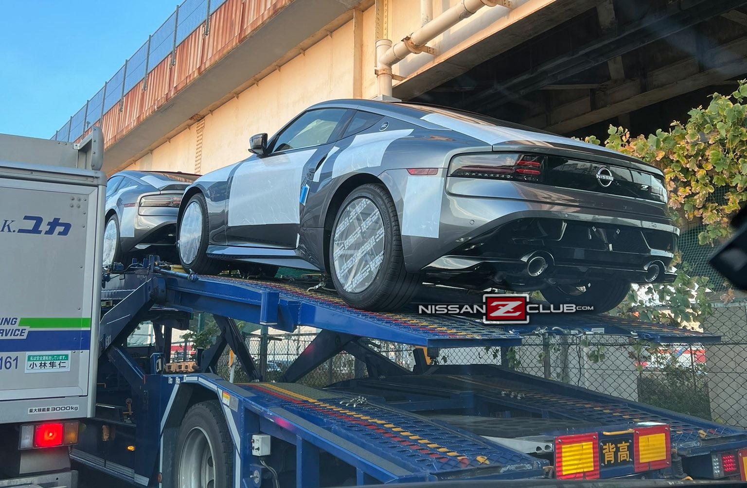 Z.jpg
